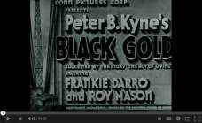 Black Gold (1936)