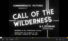 Call of the Wilderness (1932)
