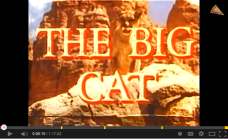 The Big Cat (1949)