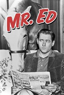 Mister Ed (1958–1966)